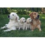 IMG_3963_Facetune_30-04-2018-10-19-40.JPG